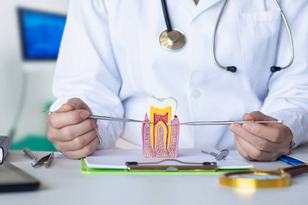 Best Chipped Tooth Repair Near Me  in Lawrence, IN